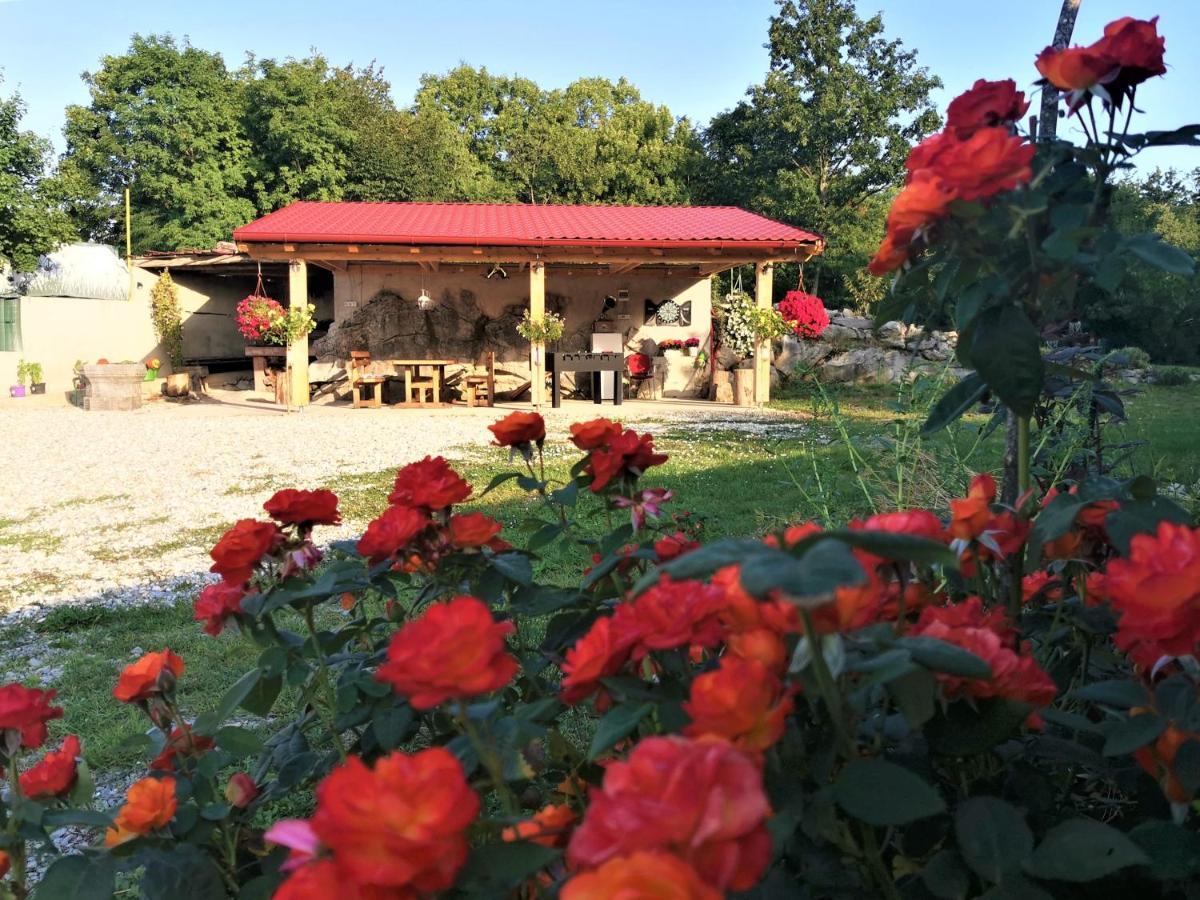 Salvia - House With Pool - Holiday home