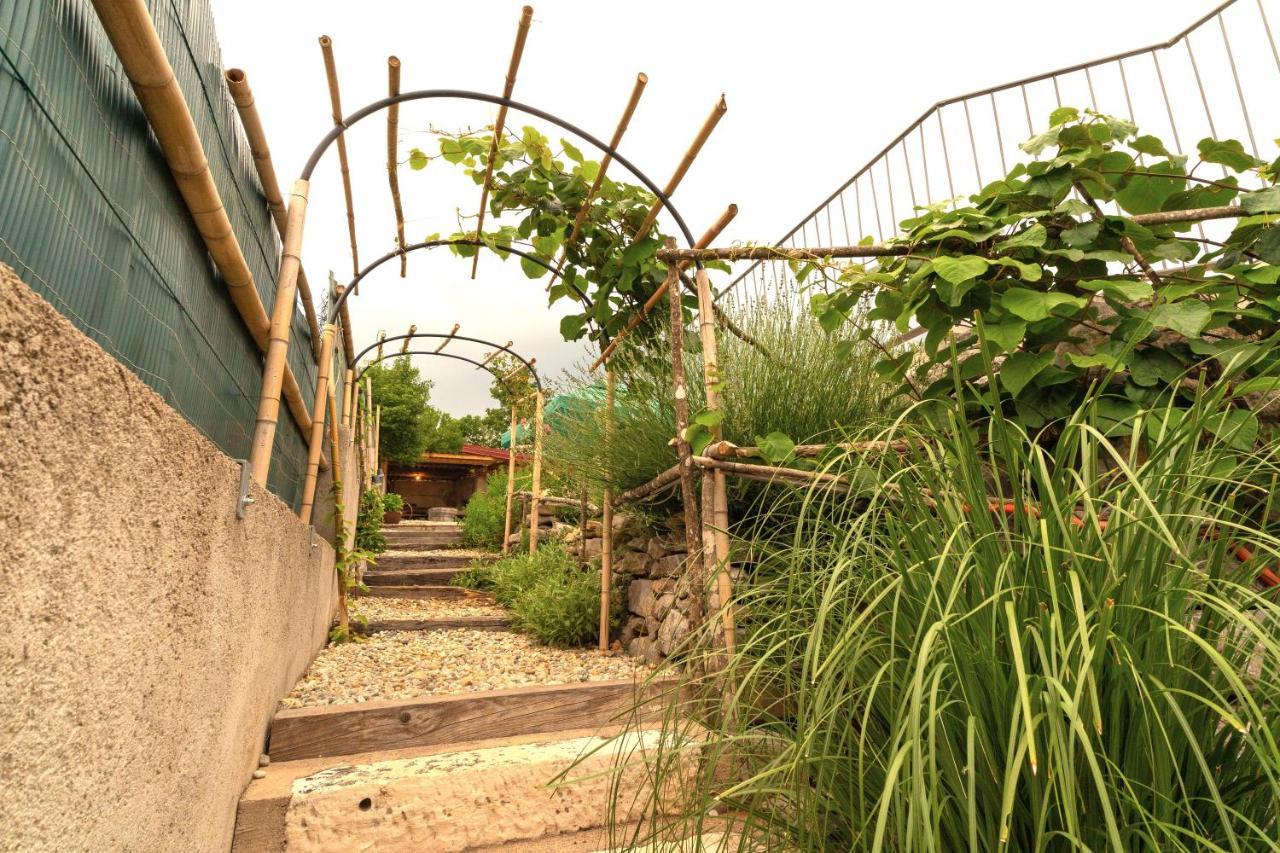 Salvia - House With Pool - Holiday home *